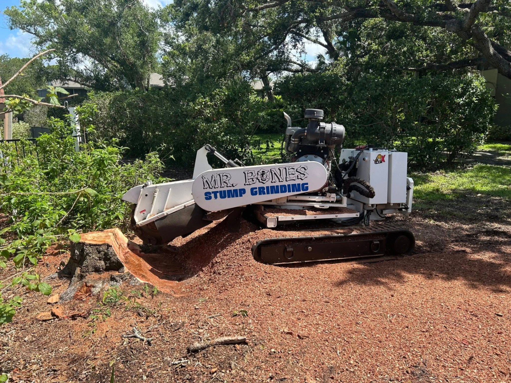 Mr. Bones Stump Grinding | Sarasota FL | 30+ Years