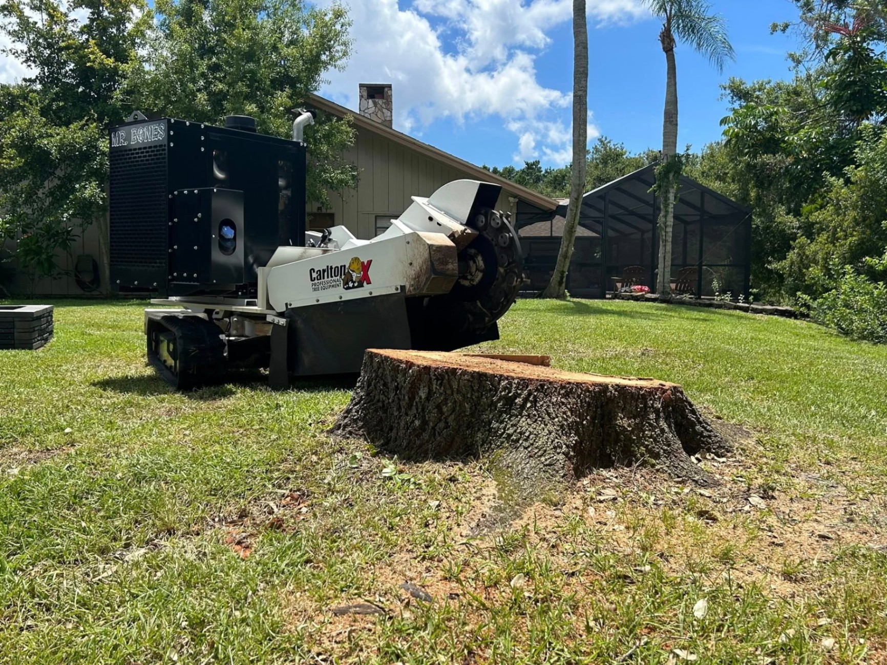 Mr. Bones Stump Grinding | Sarasota FL | 30+ Years