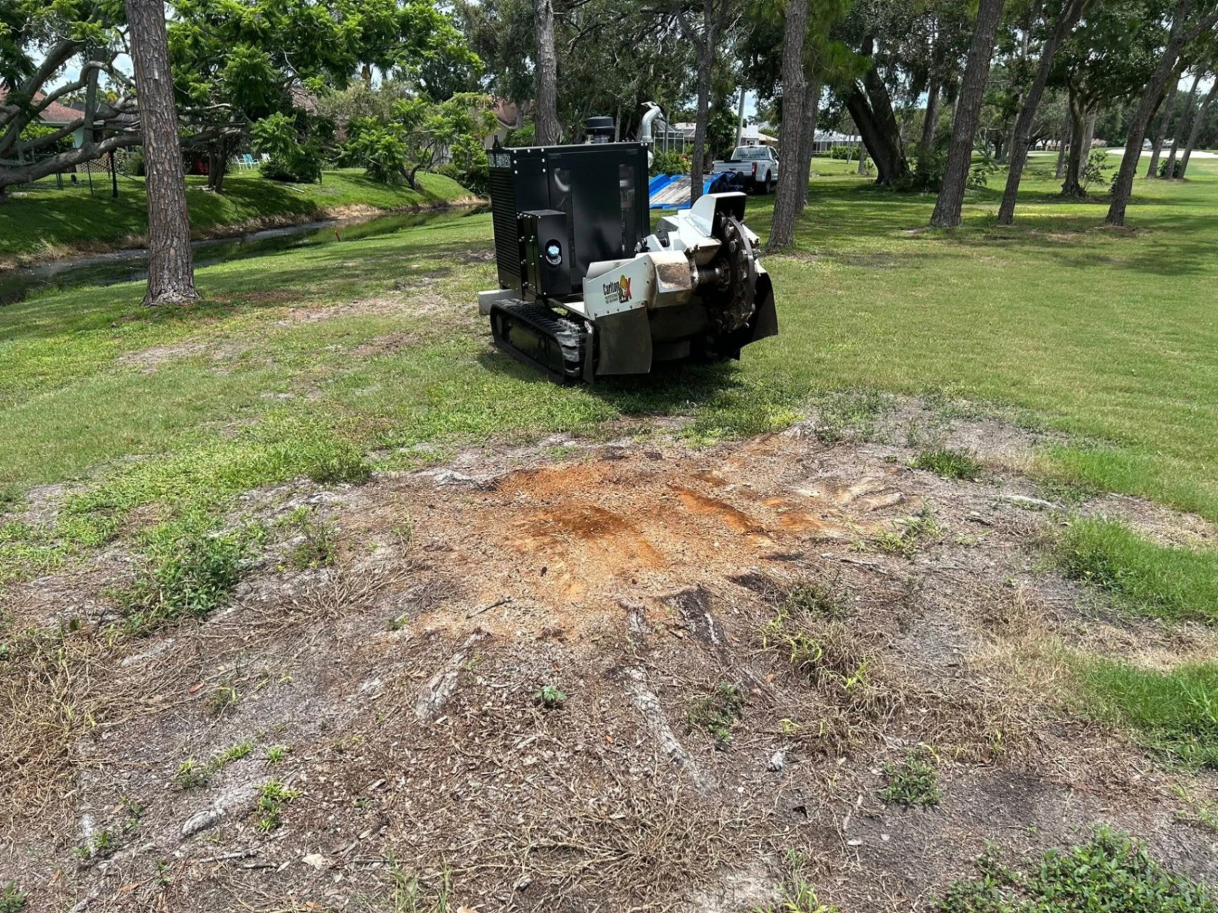 Mr. Bones Stump Grinding | Sarasota FL | 30+ Years