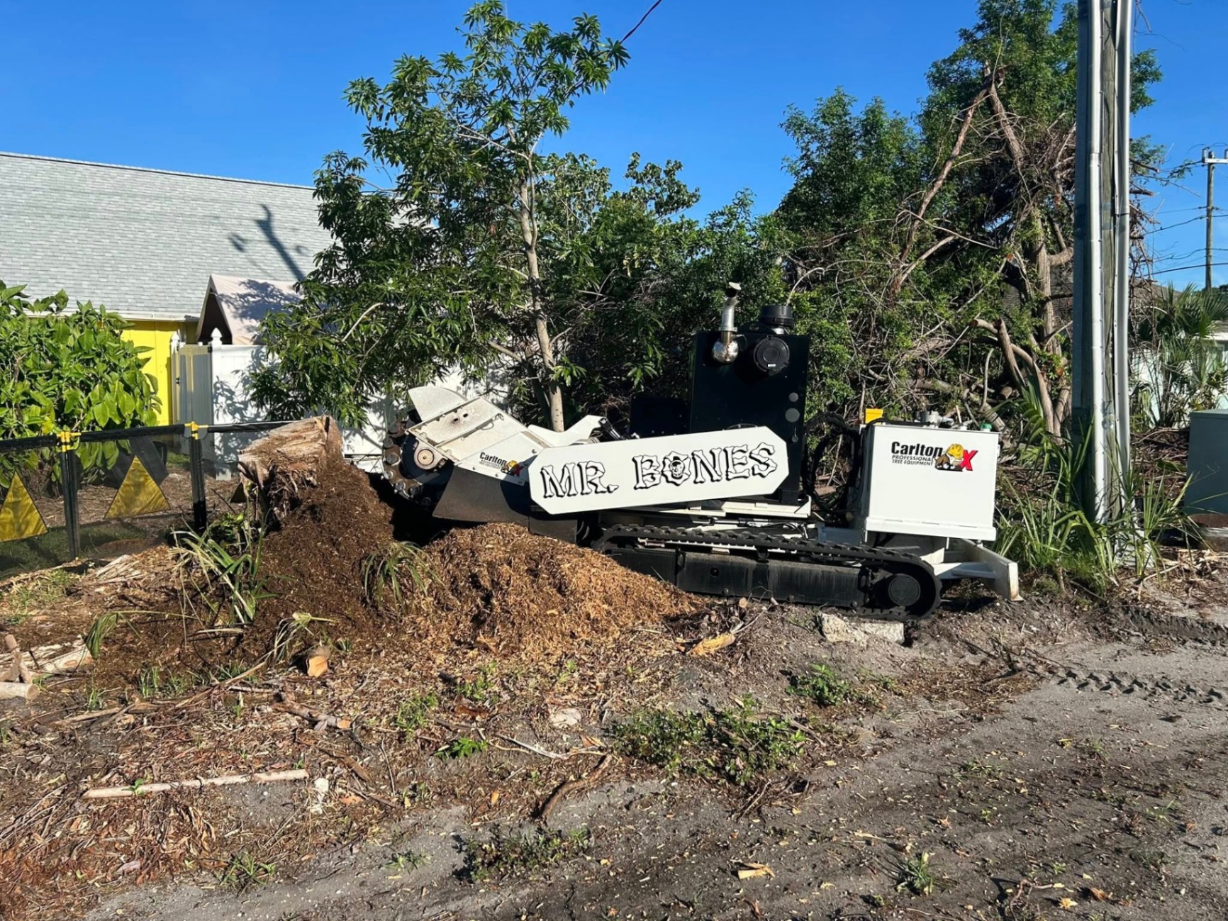 Mr. Bones Stump Grinding | Sarasota FL | 30+ Years