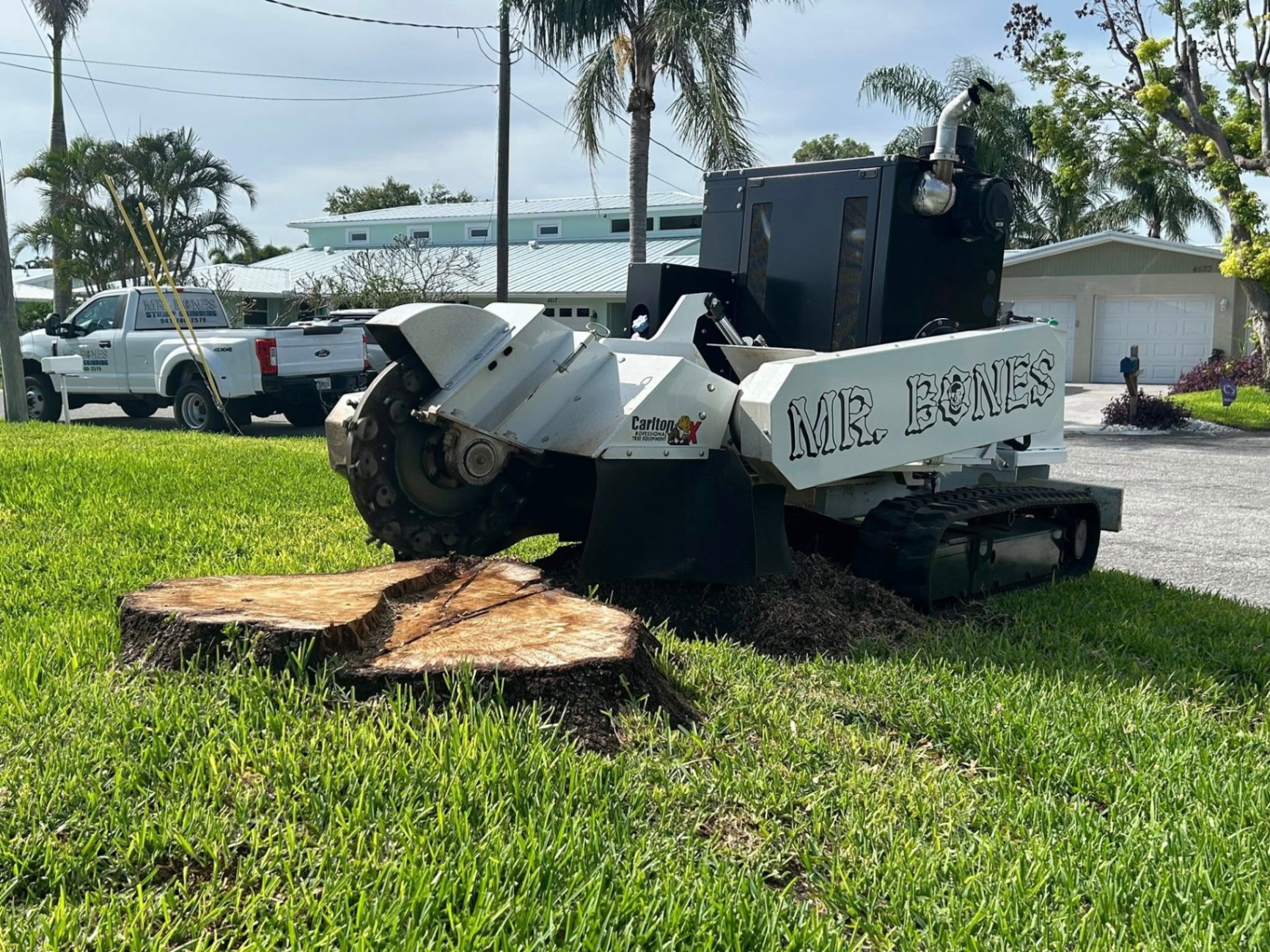 Mr. Bones Stump Grinding | Sarasota FL | 30+ Years