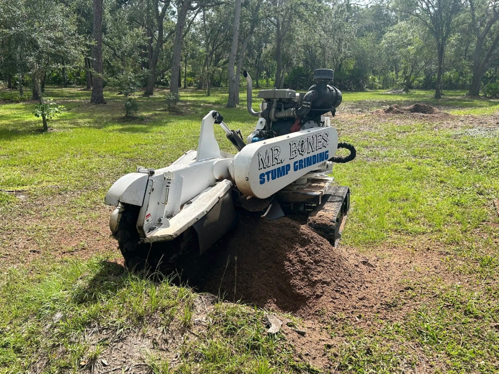 Mr. Bones Stump Grinding | Sarasota FL | 30+ Years