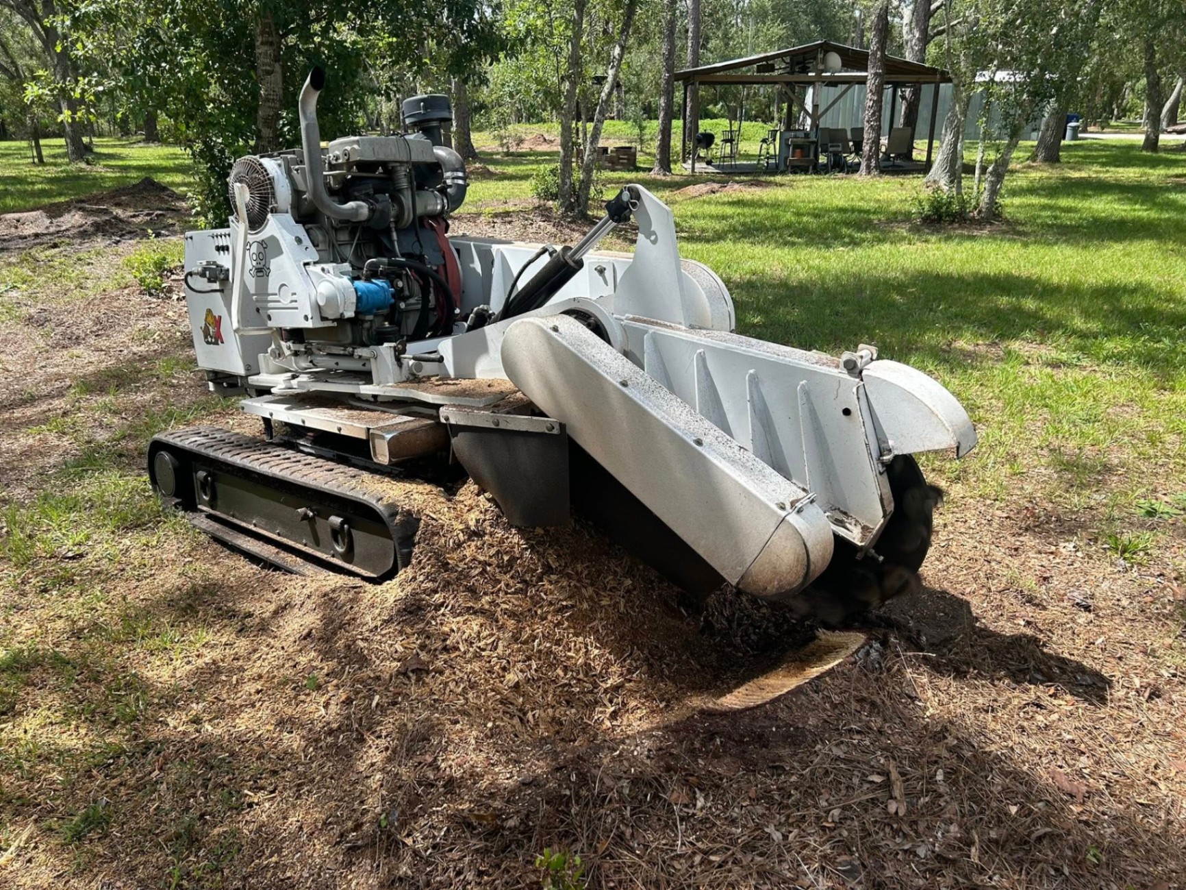 Mr. Bones Stump Grinding | Sarasota FL | 30+ Years